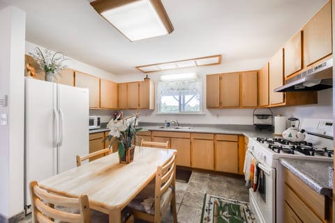 Fridge, oven, stovetop, coffee/tea maker