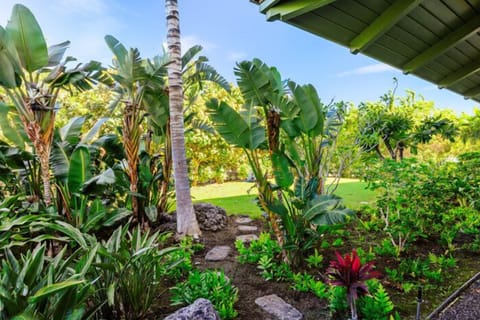 kolea garden view condo