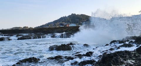 taken from rocks outside home