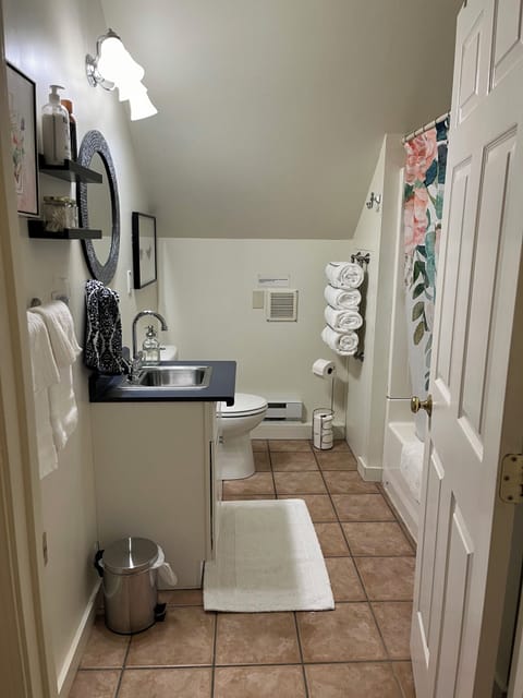 Combined shower/tub, hair dryer, towels, soap