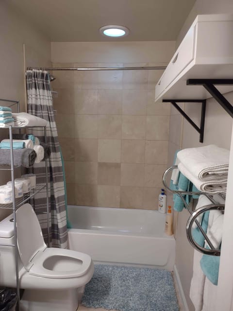 Combined shower/tub, hair dryer, towels, soap