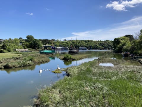Nearby Gweek with boatyard and cafe and the Cornish Seal Sanctuary.
