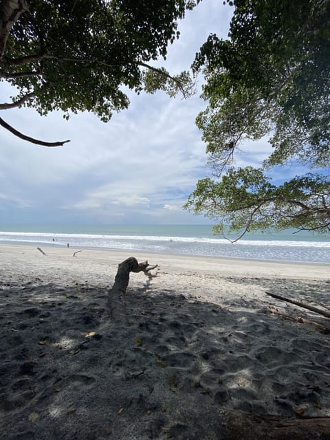 Beach nearby, sun loungers