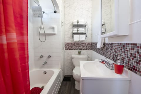 Combined shower/tub, hair dryer, bidet, towels