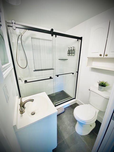 Combined shower/tub, hair dryer, towels, soap