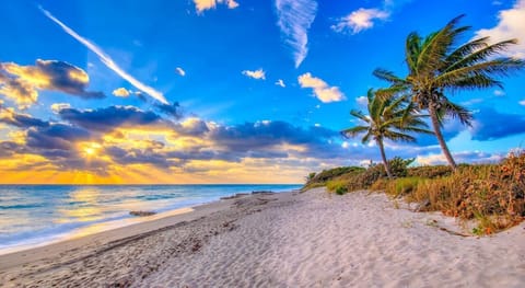 Beach nearby, sun loungers