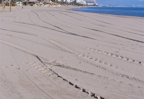 Beach nearby