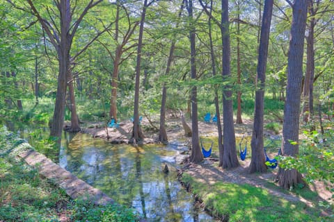 Enjoy the shaded creek access