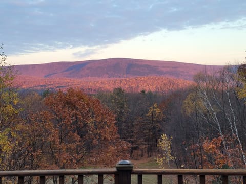 Panoramic View of mountains from the back deck