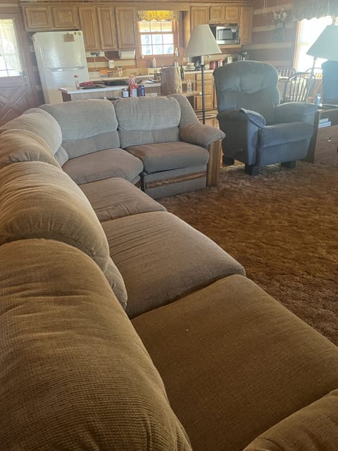 Living room with a hide a bed. 