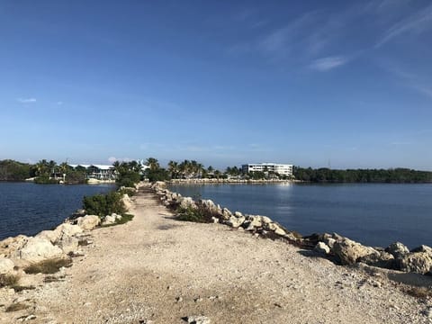 Beach nearby, sun loungers, beach towels