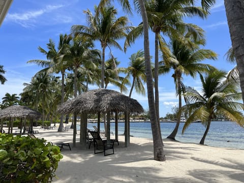 On the beach, sun loungers, beach towels