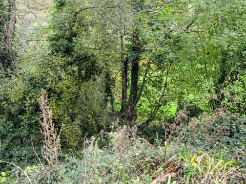 Surrounding area | Two Peas in a pod, Aberaeron