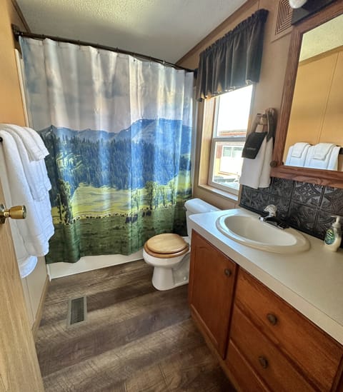 Combined shower/tub, hair dryer, towels, toilet paper