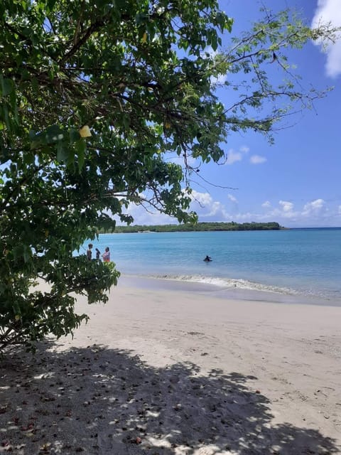 On the beach