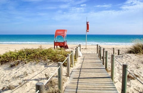 Sun loungers, beach towels