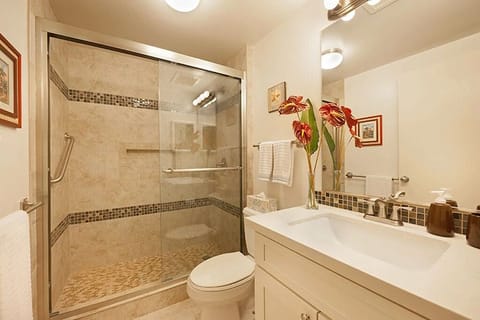 A spa-like bathroom, recently renovated - bath and beach towels included.