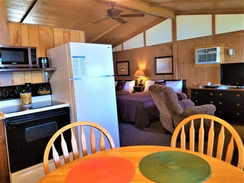 Fridge, oven, stovetop, coffee/tea maker