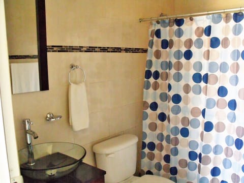 Combined shower/tub, hair dryer, towels, soap