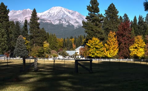 Postcard picture of Spring Creek Ranch!  View of Mt Shasta from property.