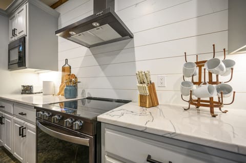 Oven and electric stove.