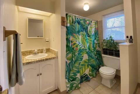 Combined shower/tub, hair dryer, towels, toilet paper