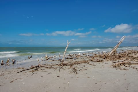 On the beach