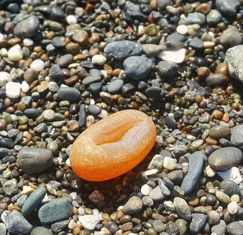 Oregon Beach Agate