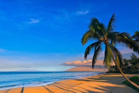 Beach nearby, sun loungers, beach towels