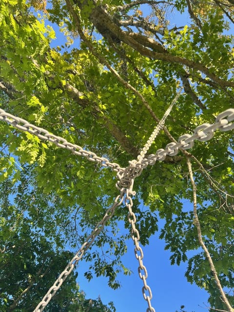 The view from the swing bed.
