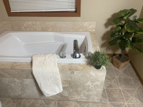 Combined shower/tub, jetted tub, hair dryer, towels