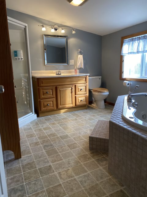 Shower, jetted tub, hair dryer, towels