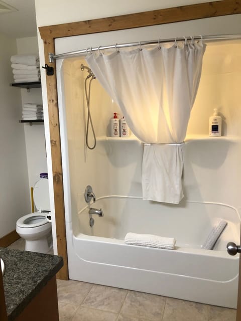 Combined shower/tub, hair dryer, towels, soap