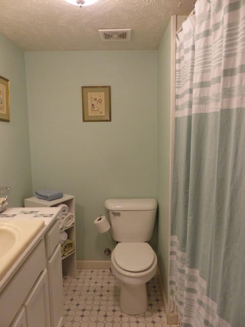 Combined shower/tub, towels, toilet paper