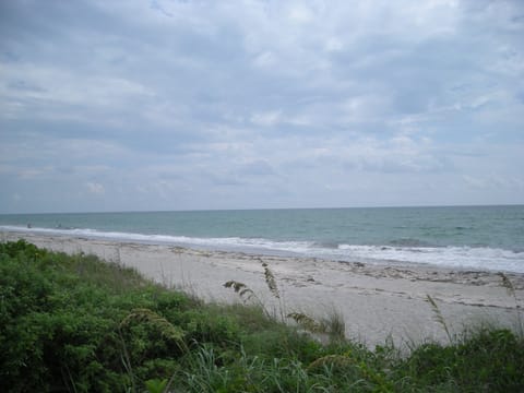 Beach nearby, sun loungers, beach towels