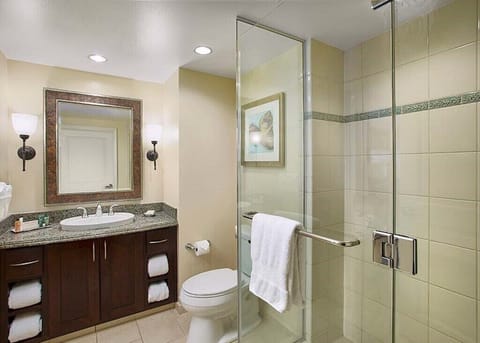 Combined shower/tub, hair dryer, towels, soap