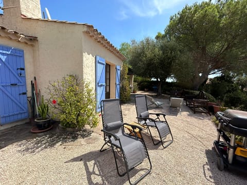 Large fully enclosed garden full of plants, olive  lemon and orange trees