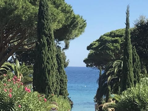 Beautiful colours of local beaches