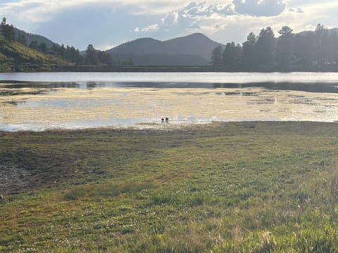 Nearby Lake Simpatico at Forest Lakes