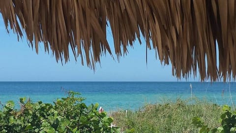 On the beach, sun loungers, beach towels