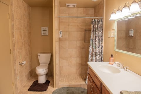 Combined shower/tub, hair dryer, towels, soap