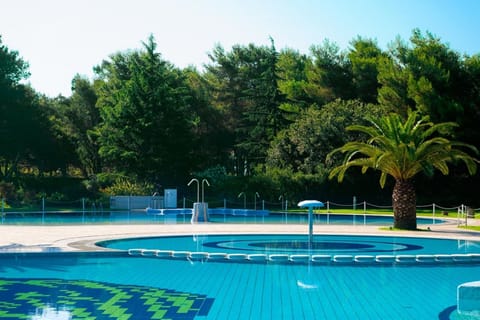 Holiday Park Facilities and Services 