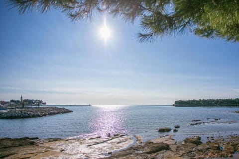 Region [summer] (&gt;5 km)
