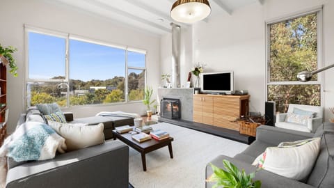 TV, fireplace, books