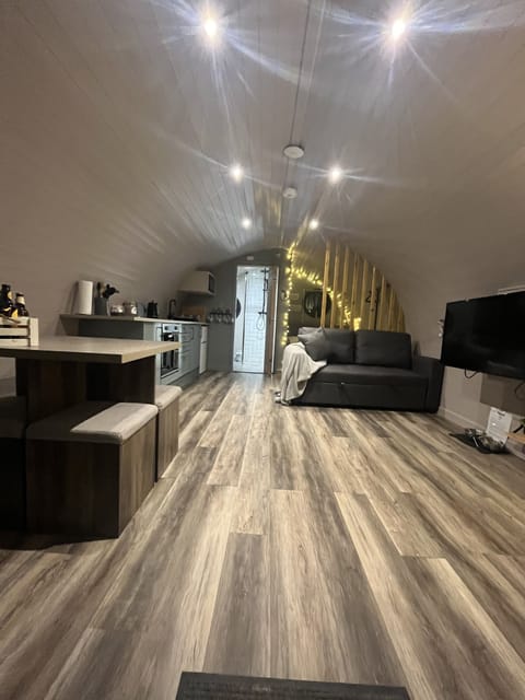 Lounge/kitchen/bedroom 