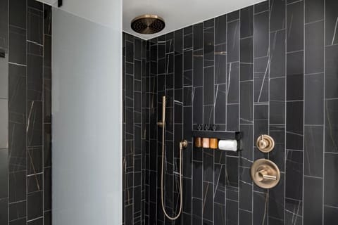 Combined shower/tub, hair dryer, towels