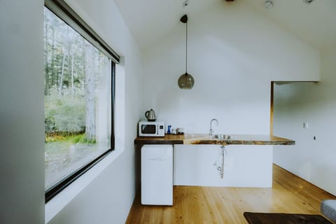 Guesthouse living area with microwave, mini-refrigerator, and fold-down sofa