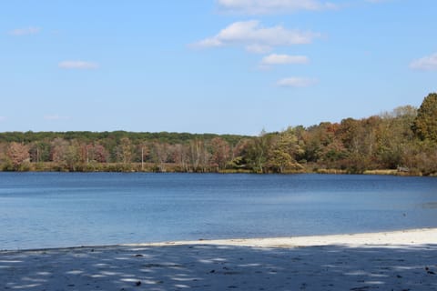 Beach nearby, beach towels