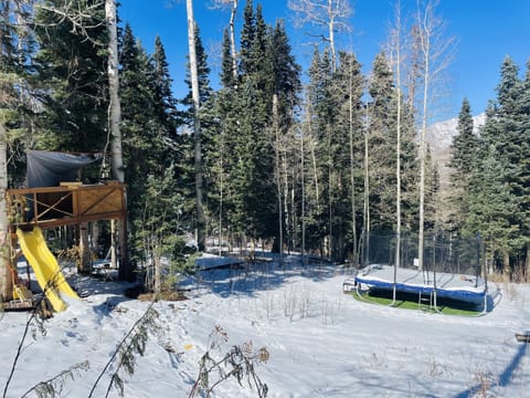 Yard with tree house, and large trampoline attached to snow shoe park.