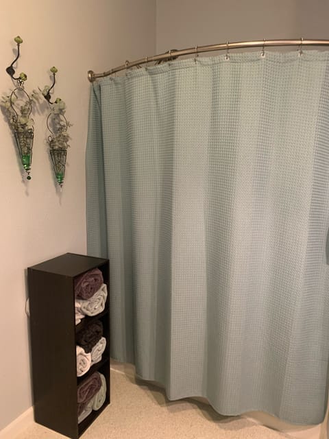 Combined shower/tub, hair dryer, towels, soap